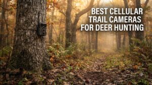best cellular trail cameras for deer hunting