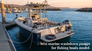 best marine washdown pumps for fishing boats model