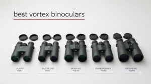 best vortex binoculars