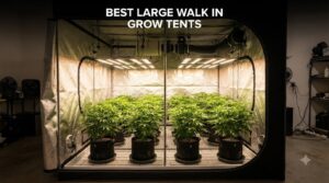best large walk in grow tents