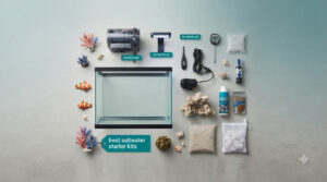 best saltwater starter kits
