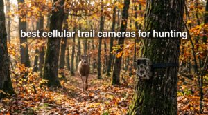 best cellular trail cameras for hunting