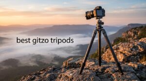 best gitzo tripods