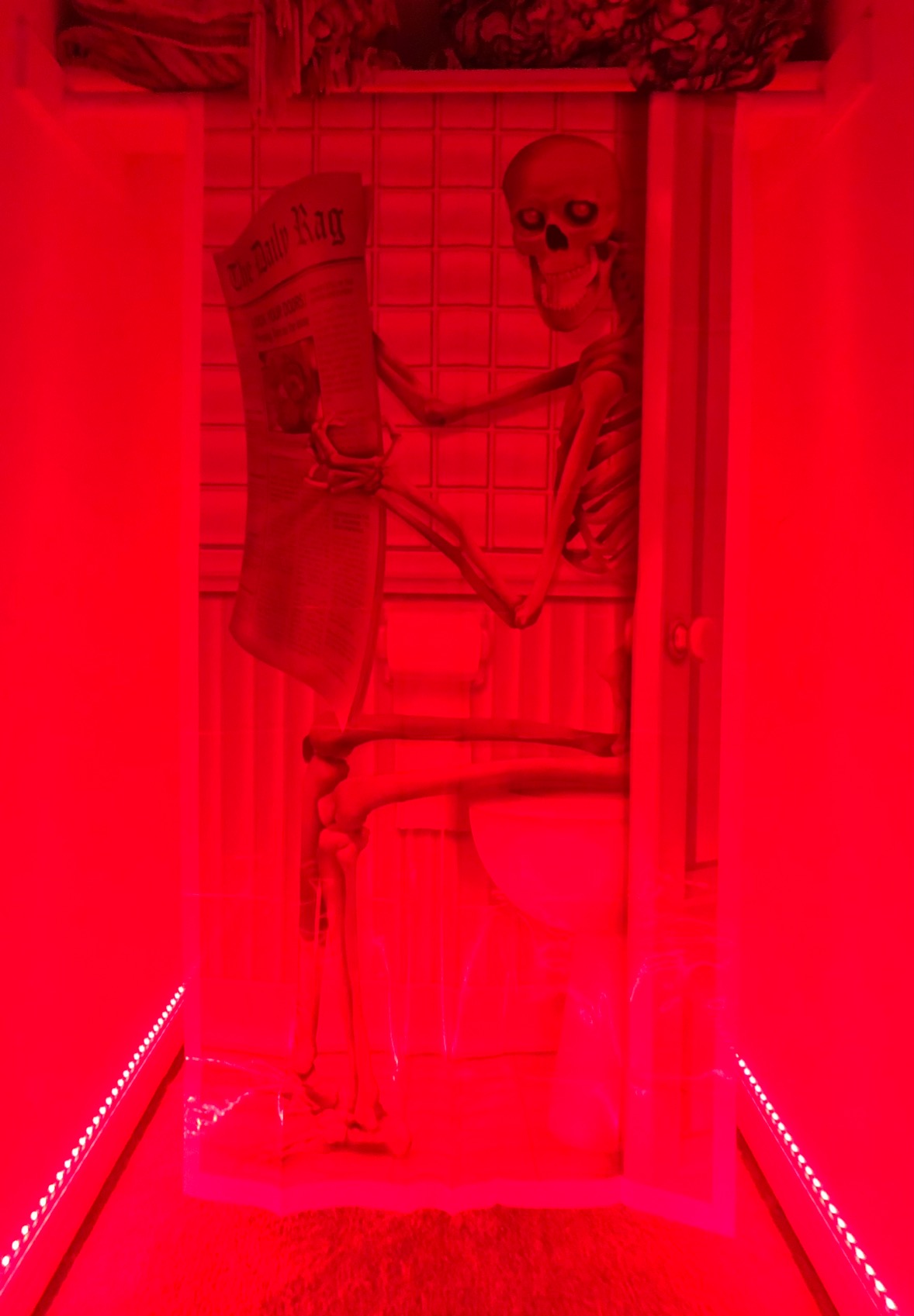 Beistle Skeleton Restroom Door Cover Halloween Decoration, 5 Ft x 30 in customer photo 1