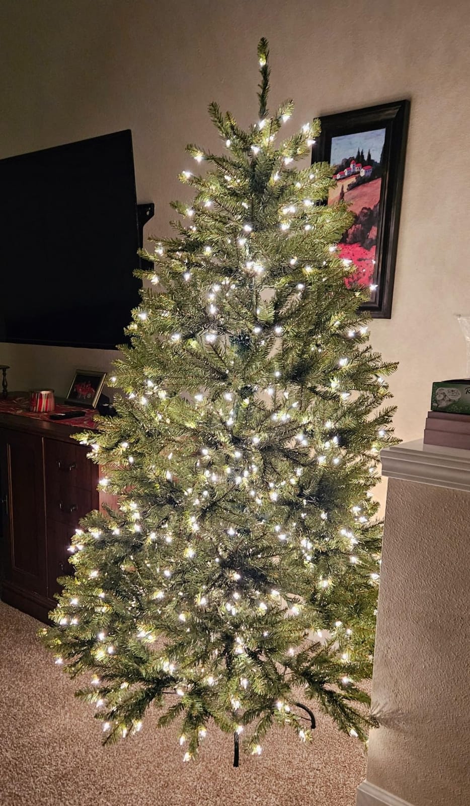 National Tree Company 7ft Pre-Lit Dunhill Fir Artificial Christmas Tree customer photo 1