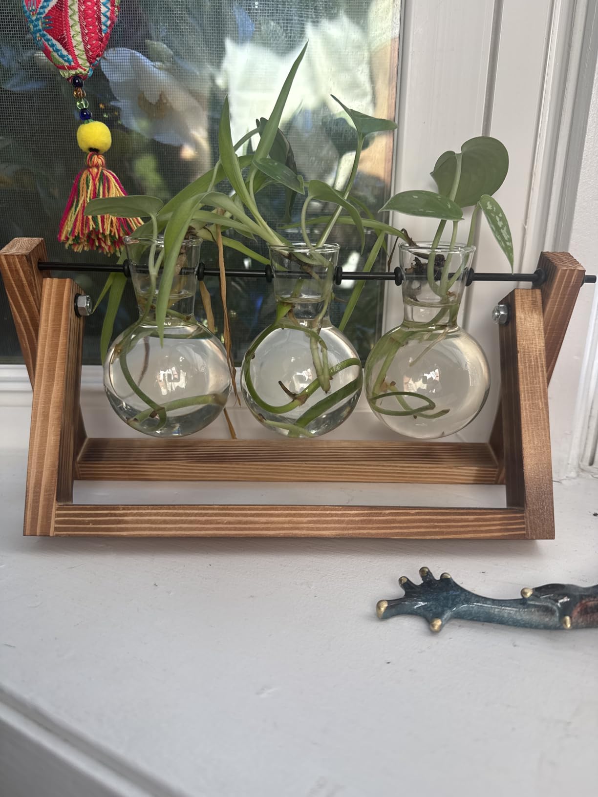 XXXFLOWER Plant Terrarium with Wooden Stand, Air Planter Bulb Glass Vase Metal Swivel Holder Retro Tabletop for Hydroponics Home Garden Office Decoration - 3 Bulb Vase customer photo 1