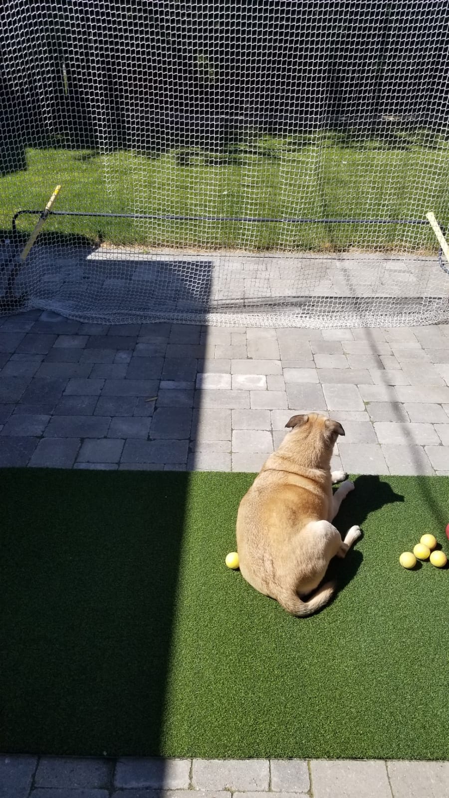 Backyard Golf Mat 3'X5' Pro Residential with Foam Pad customer photo 2