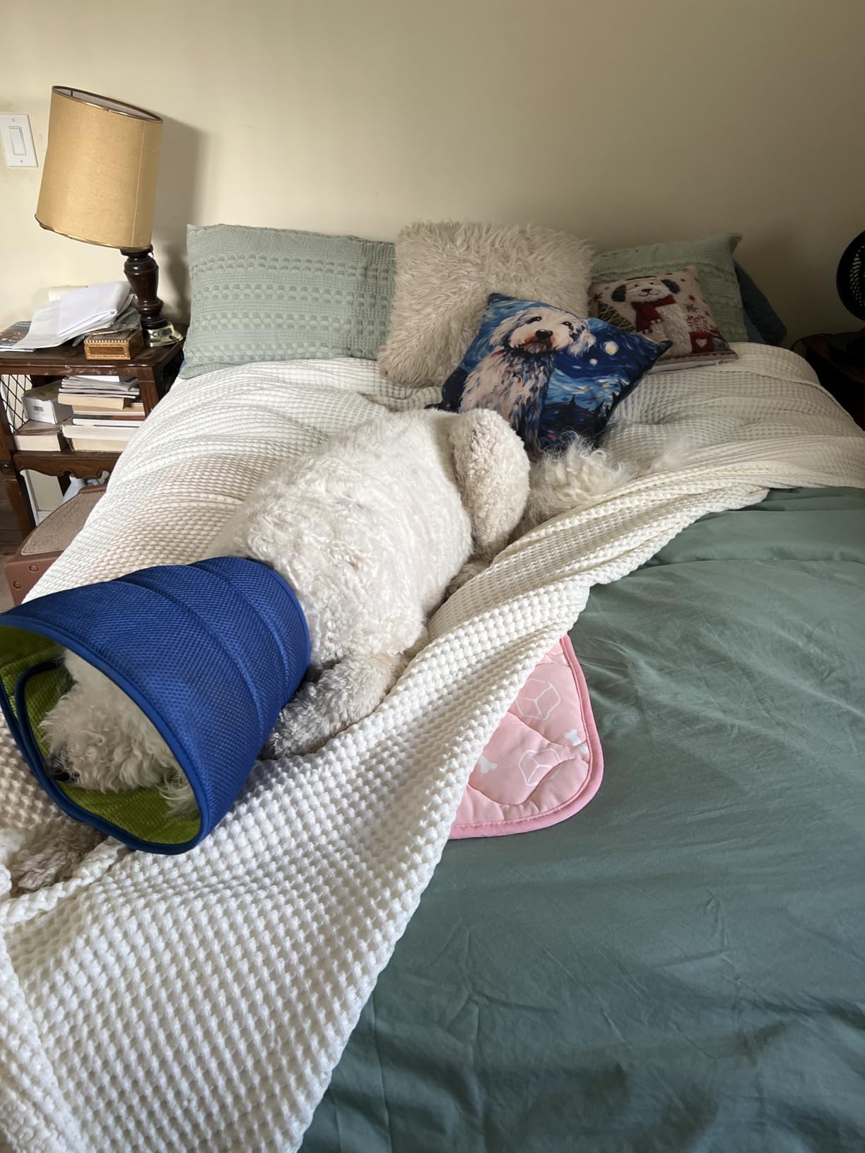 Bedsure Prewashed Duvet Cover customer photo 2