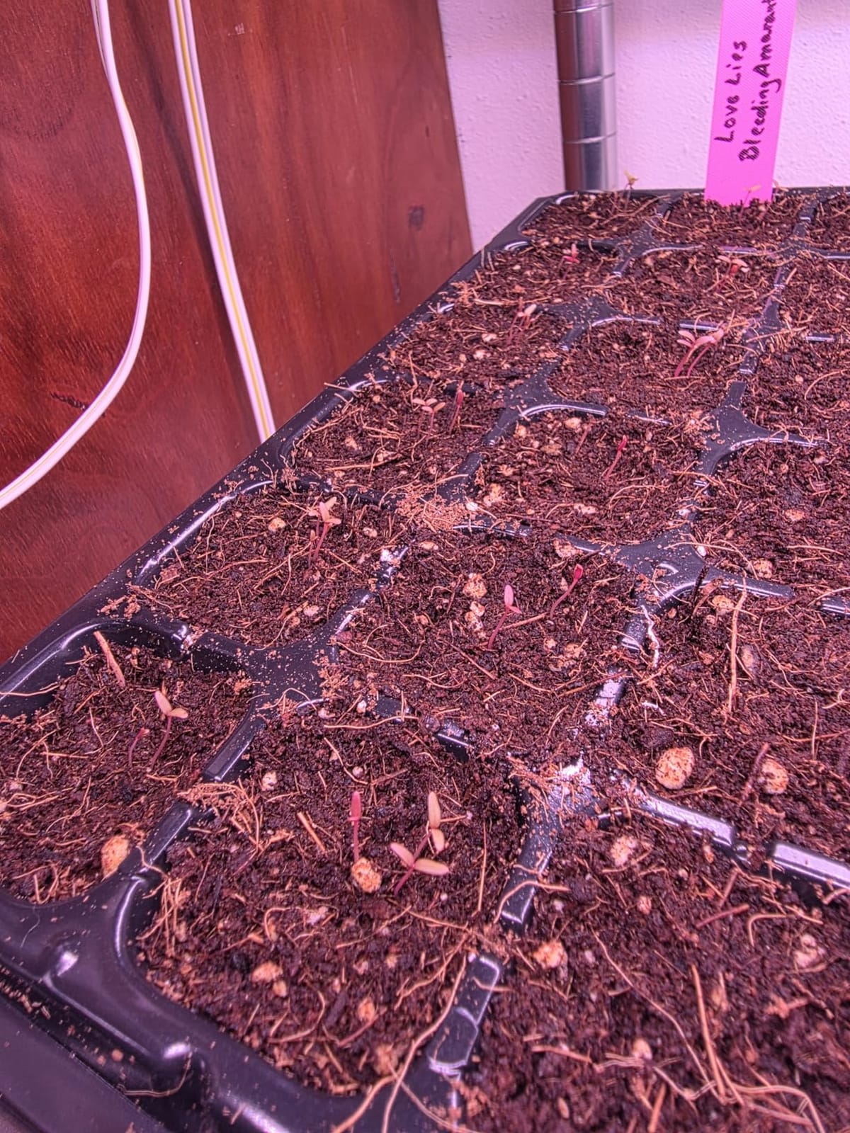 Barrina LED Grow Light, 252W(6 x 42W) 4ft T8, Full Spectrum, Pink, 6 Packs customer photo 2