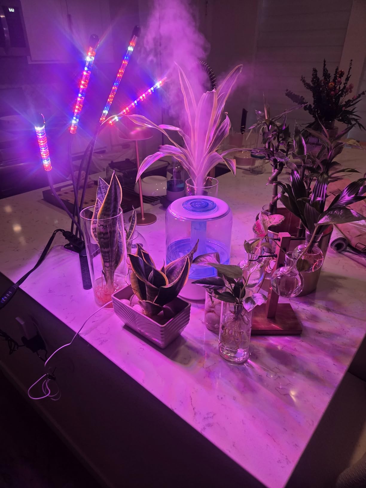 LEOTER Grow Light for Indoor Plants - Upgraded Version 80 LED Lamps with Full Spectrum & Red Blue Spectrum, 3/9/12H Timer, 10 Dimmable Level, Adjustable Gooseneck,3 Switch Modes customer photo 1