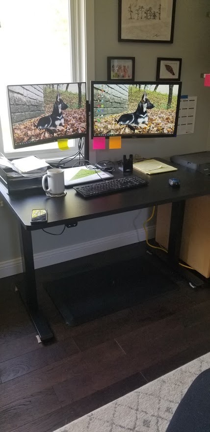 FLEXISPOT EN1 One-Piece Standing Desk, Electric Adjustable with 4 Memory Presets, 176 LBS Capacity, Stable & Quiet, Seamless Desktop for Home Office & Dual Monitors, 55