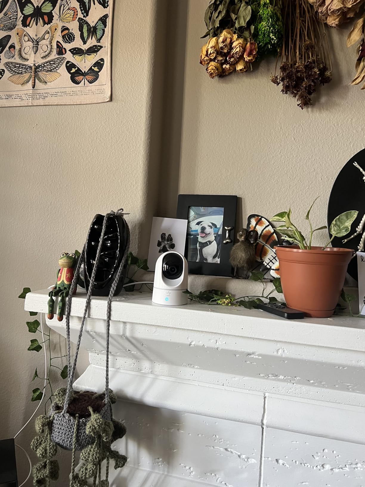 eufy Indoor Cam E220 customer photo 2