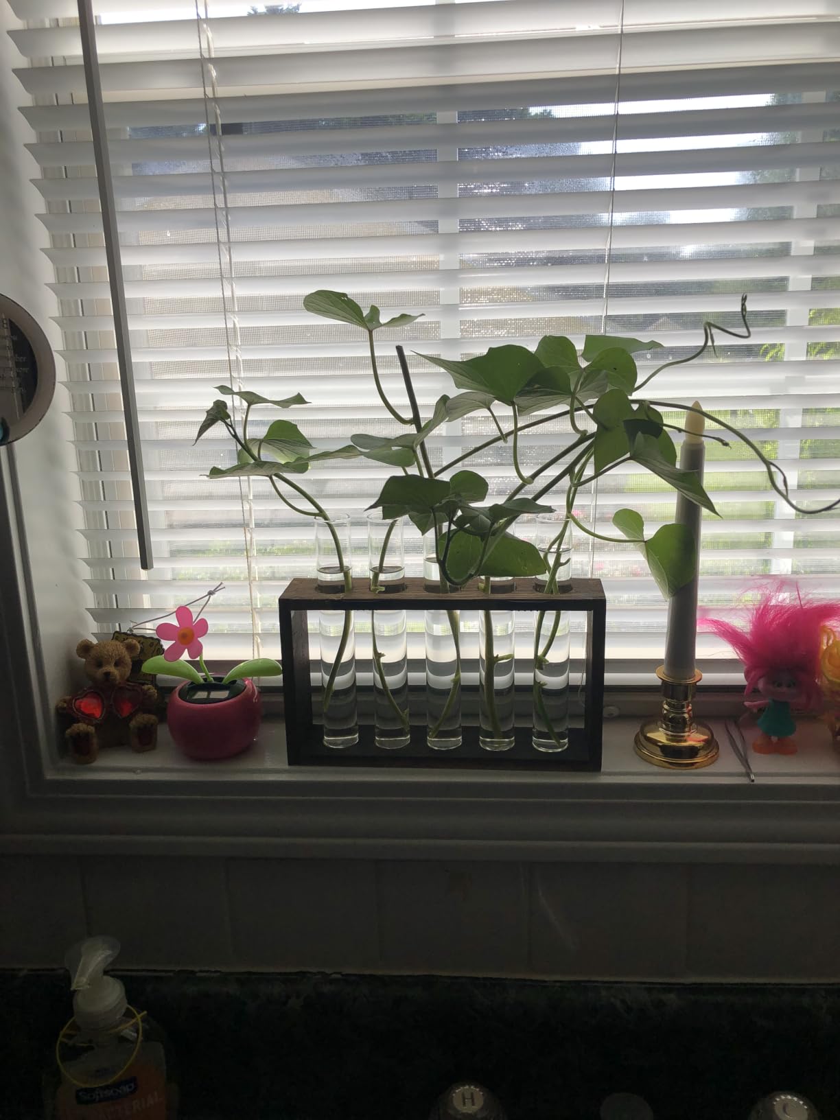 XXXFLOWER 5Test Tube Plant Propagation Station Plant Terrarium Wooden Stand customer photo 2