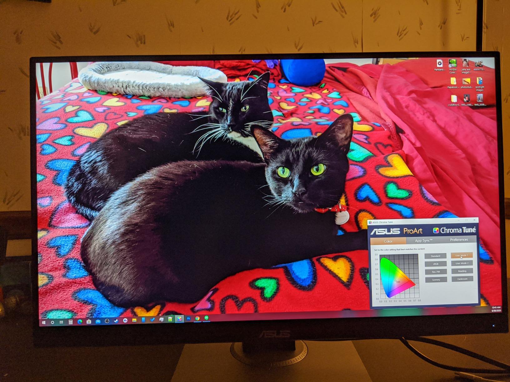 ASUS ProArt PA278QV 27 Inch 1440p QHD Professional Monitor customer photo 1