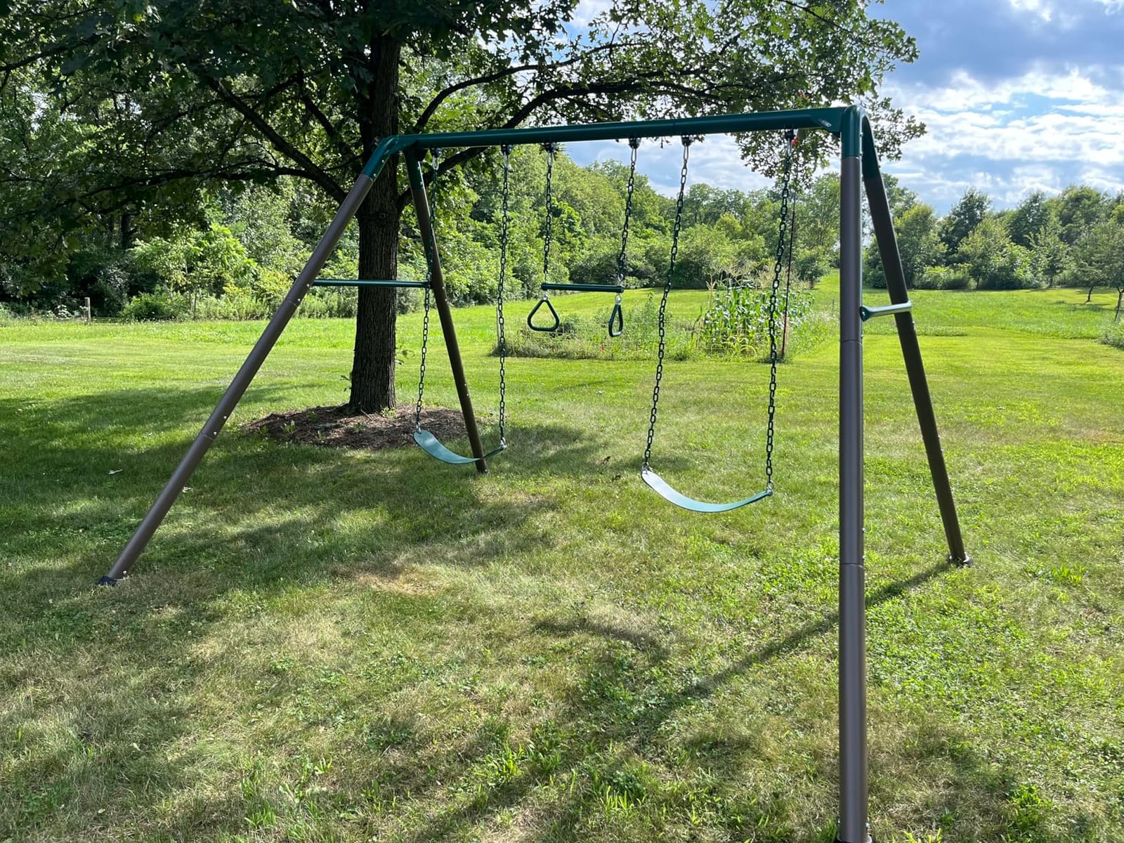 Lifetime Metal Swing Set - Heavy Duty Outdoor Playset for Kids customer photo 1