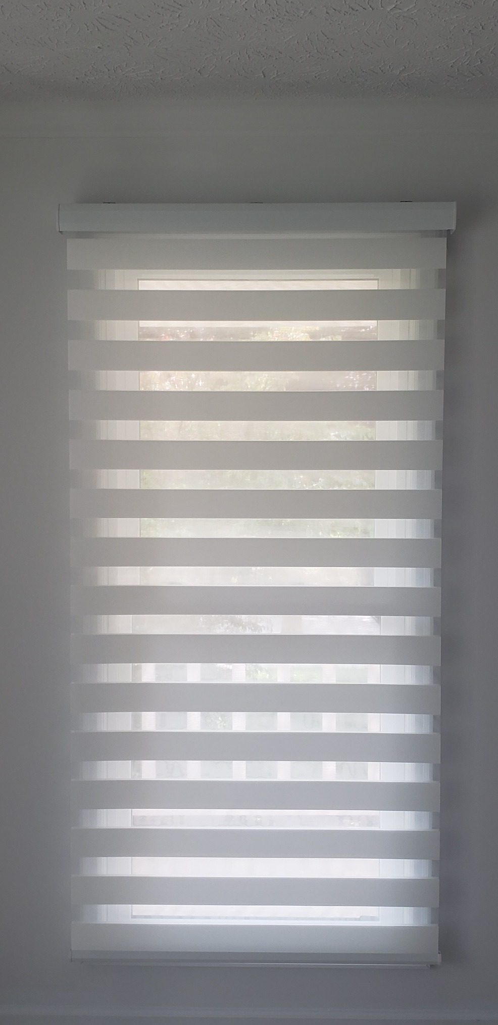 Graywind Motorized Zebra Blinds 100% Blackout Compatible with Alexa Horizontal Light Filtering Window Shades Remote Roller Blinds with Valance for Smart Home and Office, Customized Size (Charcoal) customer photo 2