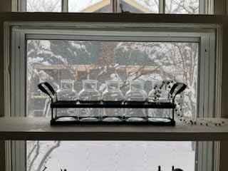 Mkono Propagation Stations, 5 Jars Desktop Glass Plant Terrarium with Stand customer photo 2