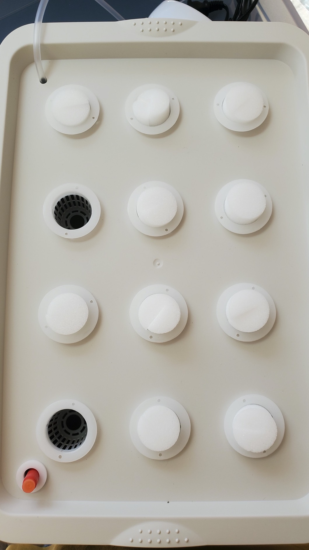NATGAI Hydroponic System Growing Kit with Air Pump 12 Holes Soilless customer photo 2