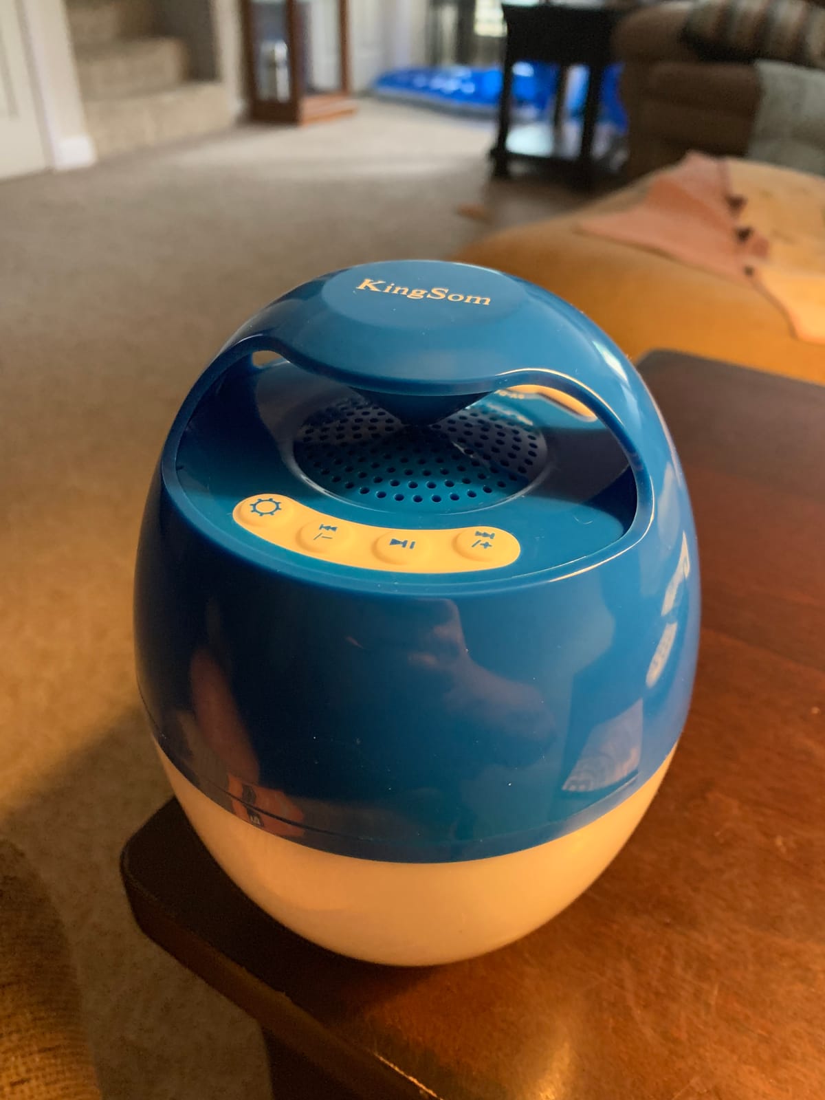 KingSom Portable Bluetooth Pool Speakers with Colorful Lights customer photo 1