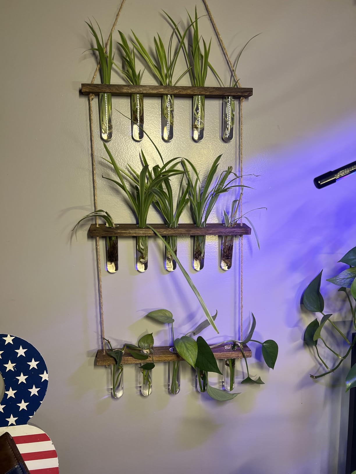 3 Tier Wall Hanging Propagation Stations with 15 Glass Test Tubes, Plant Terrarium Propagation Tubes Planter for Hydroponic Cuttings, Window Decor Gift for Plant Lovers customer photo 1