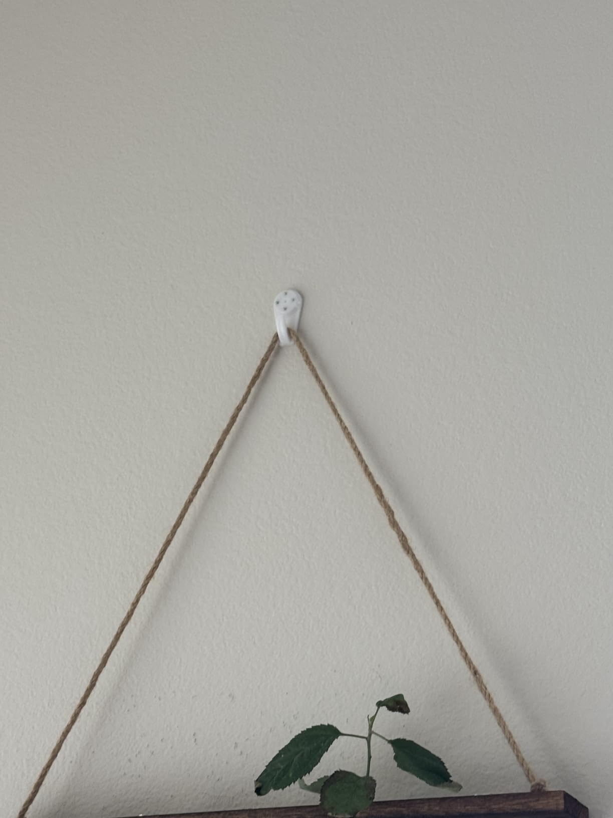 XXXFLOWER Wall Hanging Propagation Station with Wooden Stand 5 Glass Test Tubes 3 Tiered Planters Wall Terrarium for Home Office Plant Hanger Flower Vases Wall Decor Hydroponic Cuttings customer photo 1