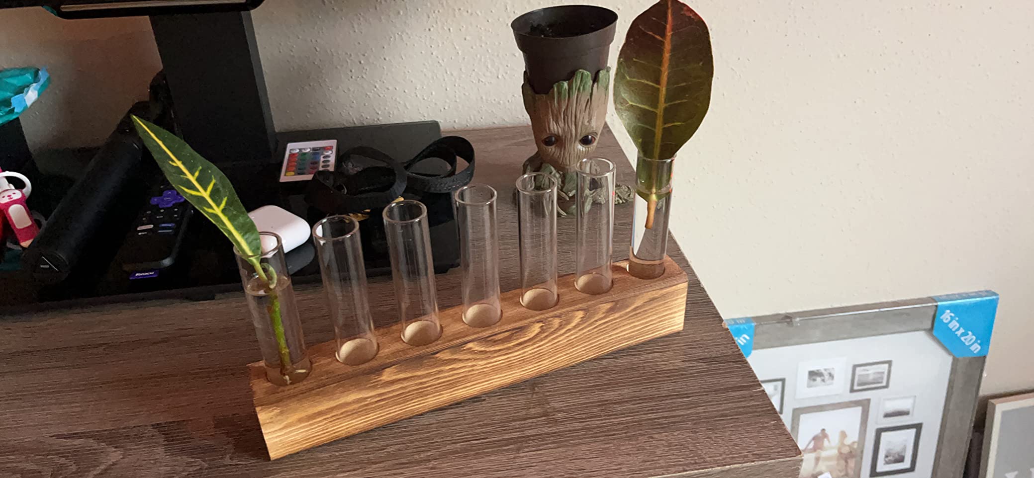 Plant Propagation Station, Plants Propagation Tubes customer photo 1