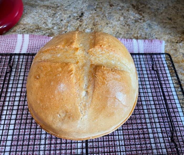 Le Creuset Enameled Cast Iron Round Bread Oven, 9.5 inch, Cerise customer photo 2
