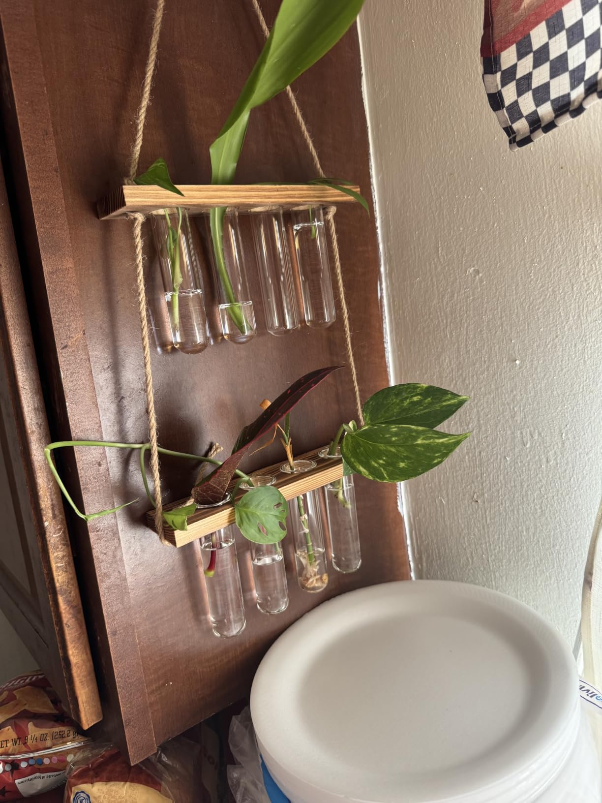 Hyindoor Wall Hanging Planter Terrarium 2 Tired Test Tube Vase Glass Planter Plant Propagation Station Plant Hangers of Rope with Wooden Stand and 8 Tubes for Hydroponic Plant Cutting customer photo 1