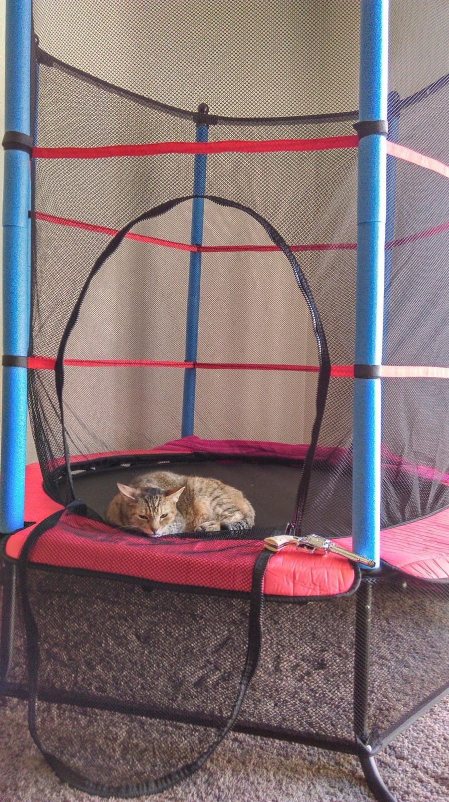Giantex 55'' Mini Kids Trampoline With Safety Enclosure Net, ASTM Approved, No-Gap Safe Design, Easy to Assemble 4.6 Ft Outdoor Indoor Small Toddler customer photo 2