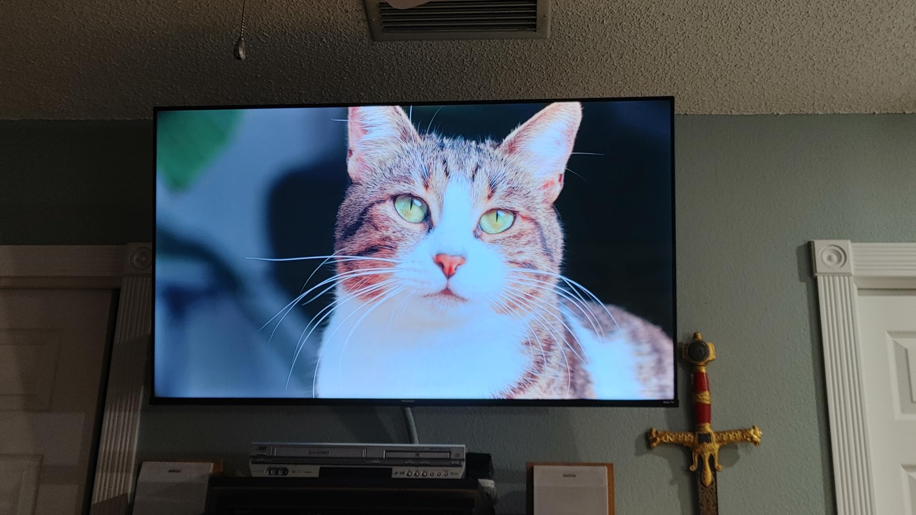 Hisense R6 Series customer photo 2