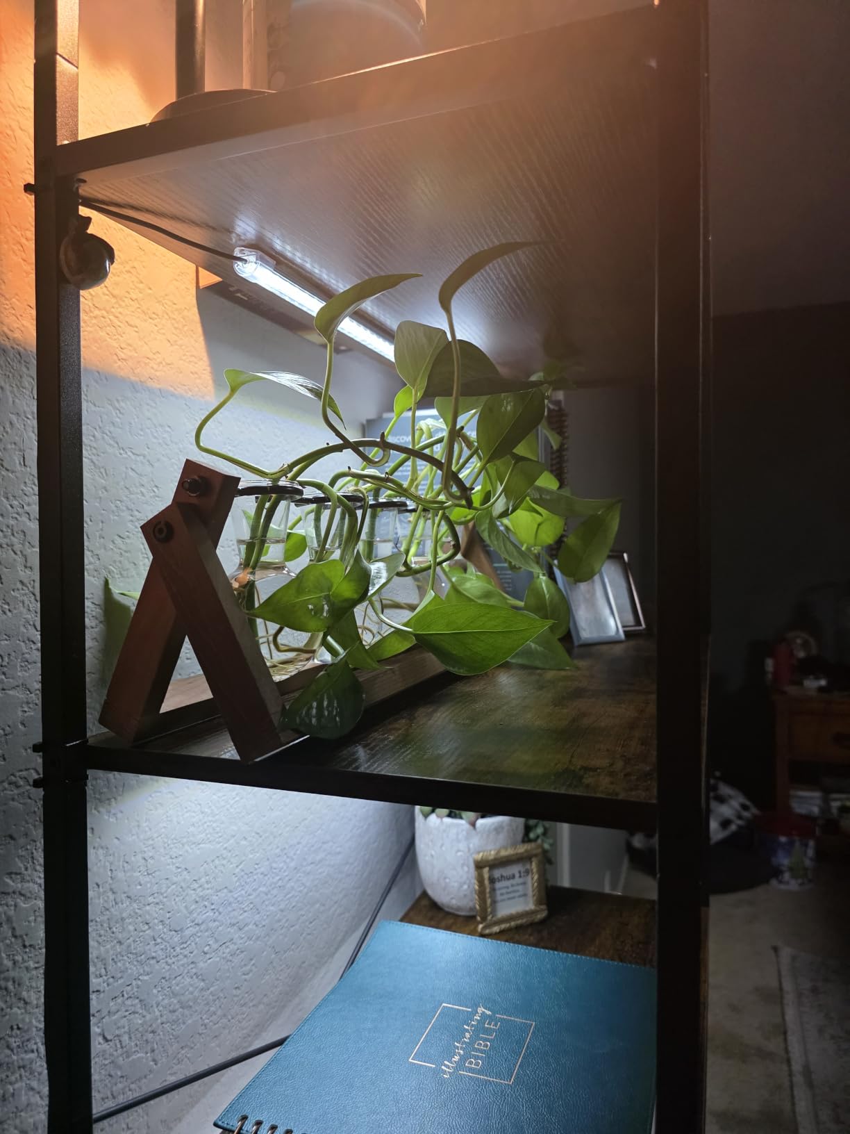 Kullsinss 16in Grow Light Strips, 2-Bar 120 LEDs Full Spectrum Plant Light customer photo 2