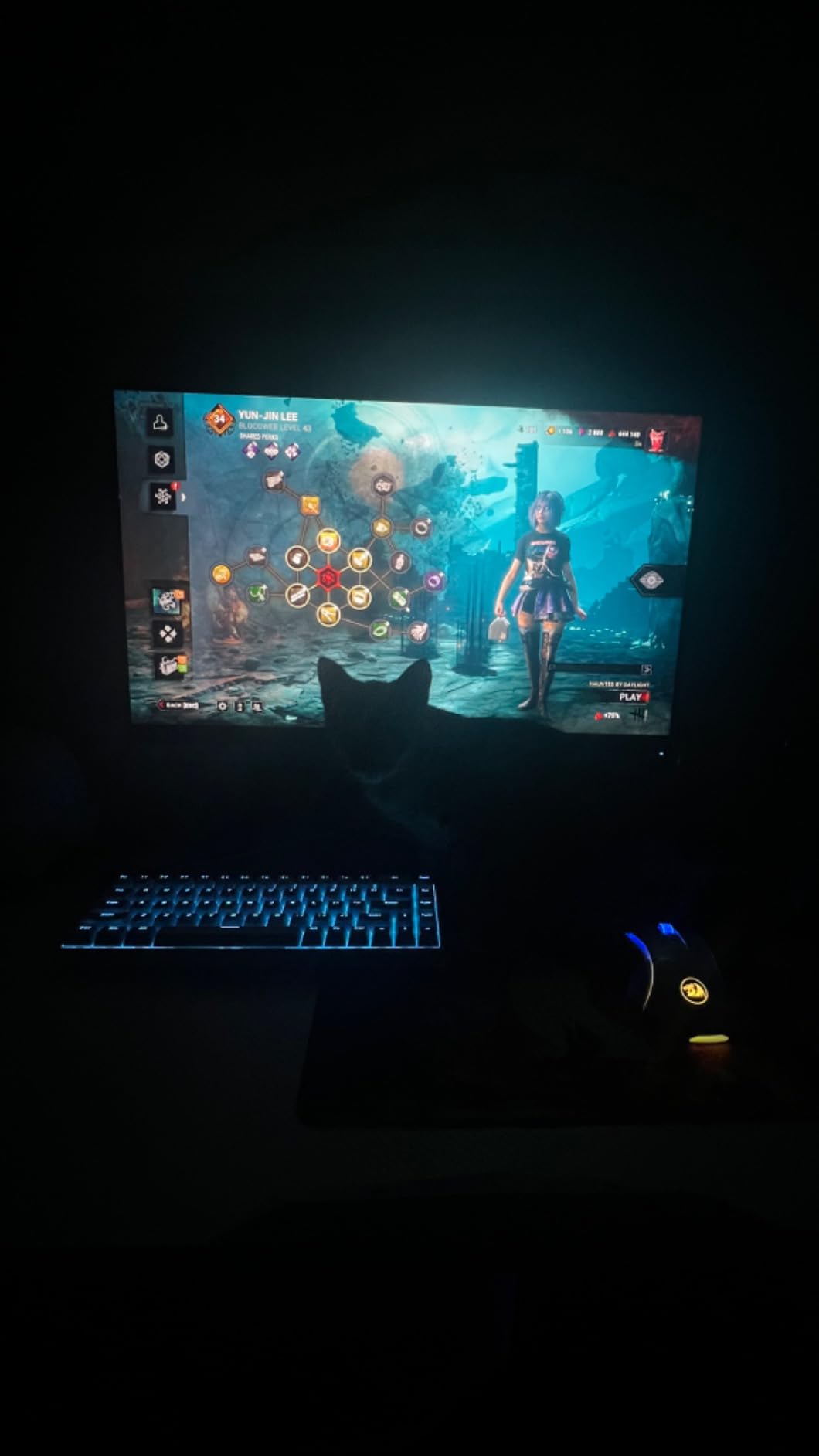 DIERYA T68SE 60% Gaming Mechanical Keyboard,Ultra Compact Mini 68 Key with Blue Switches Wired Keyboard,Anti-Ghosting Keys, for Windows Laptops and PC Gamers,White customer photo 2