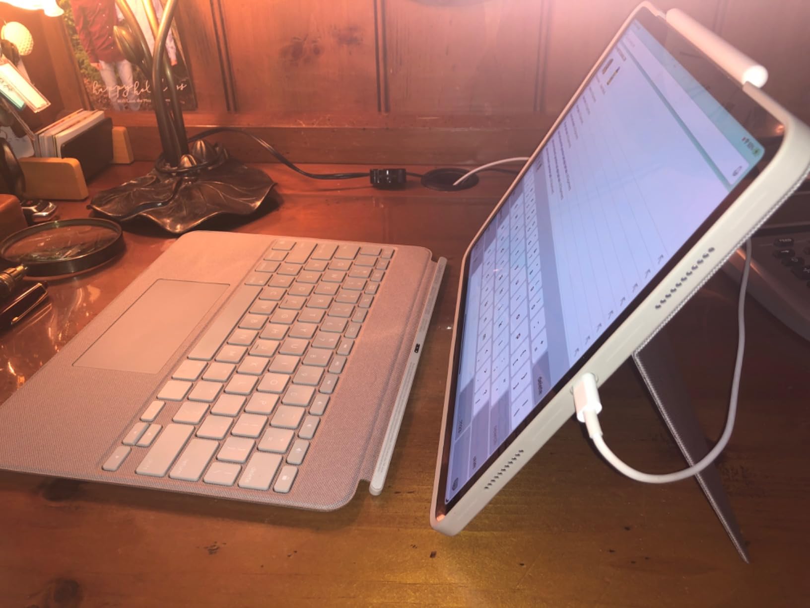 Apple 2022 iPad Pro, 12.9-inch, Wi-Fi + Cellular, 256GB, Space Gray (Renewed) customer photo 2