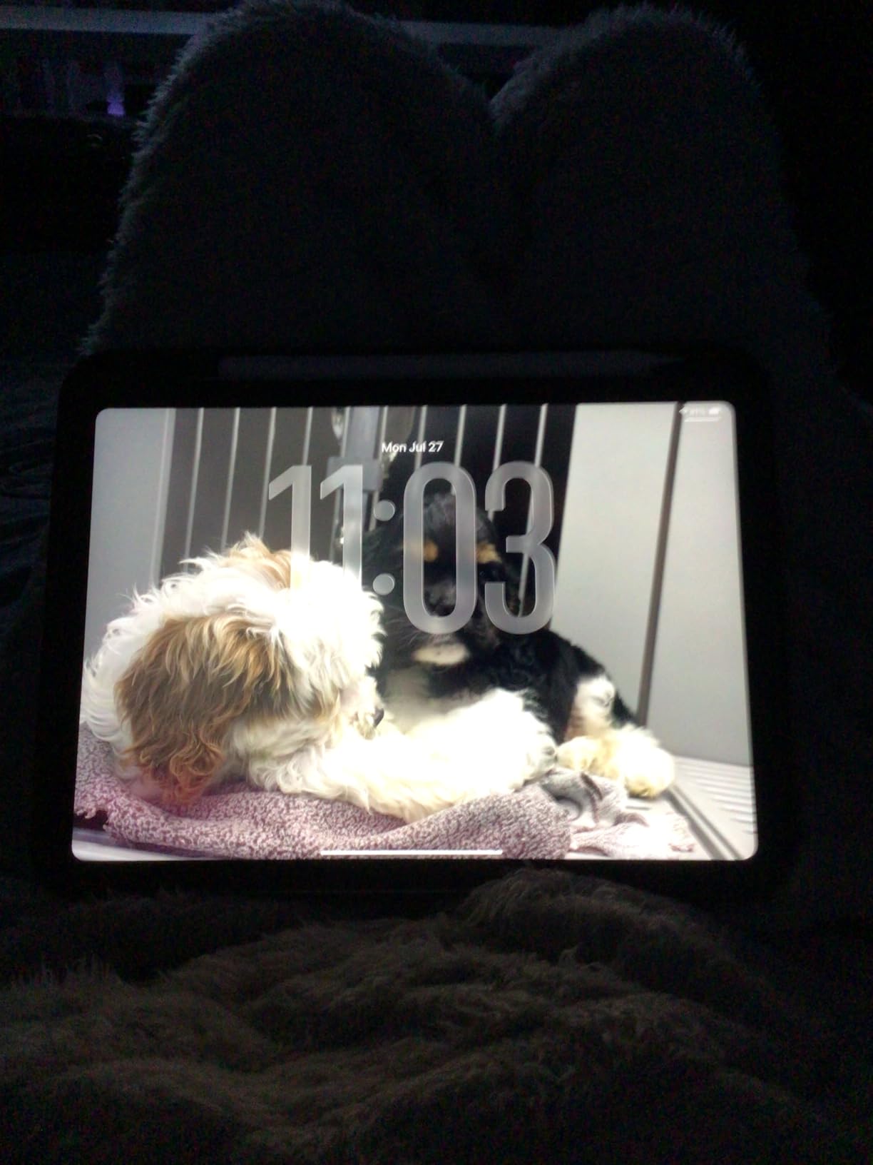 2022 Apple iPad (10.9-inch, Wi-Fi, 64GB) - Silver (Renewed) customer photo 1