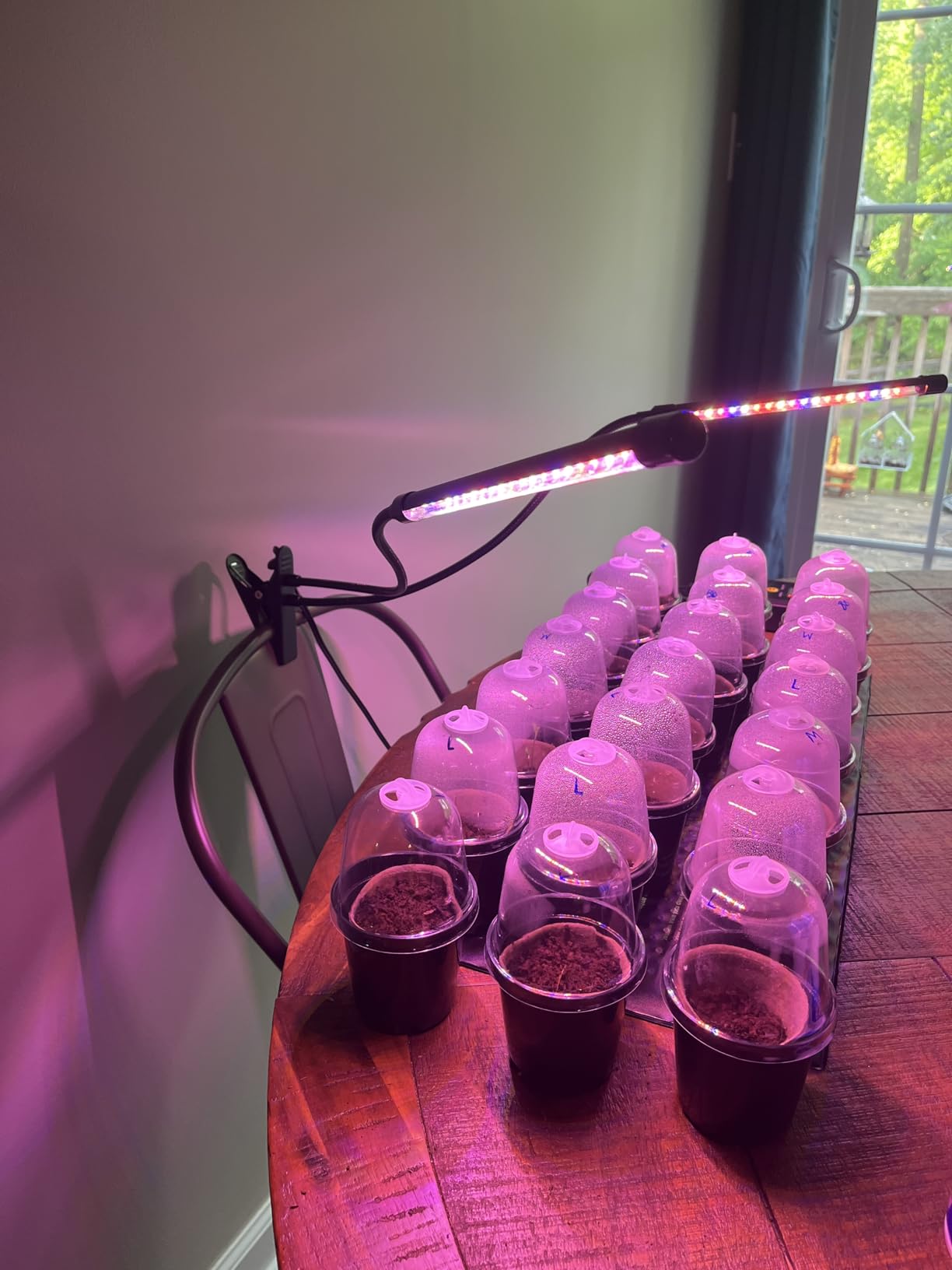 Garpsen Grow Lights for Indoor Plants, 2 Heads Clip On Plant Light, 40 LEDs customer photo 2