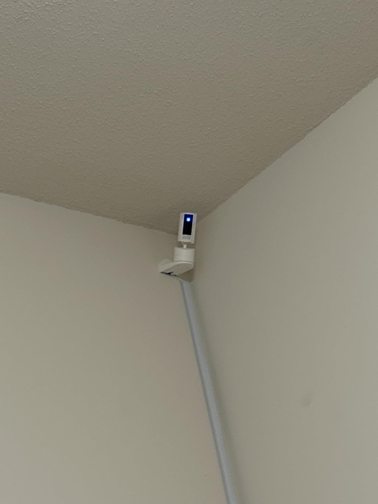 Ring Pan-Tilt Indoor Cam customer photo 2
