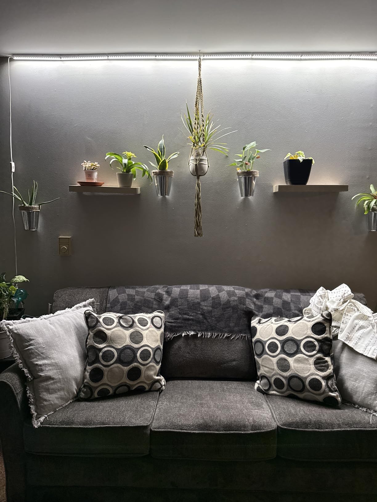 Barrina T5 Grow Lights for Indoor Plants, Full Spectrum, 1ft 5000K, 4 Packs customer photo 2