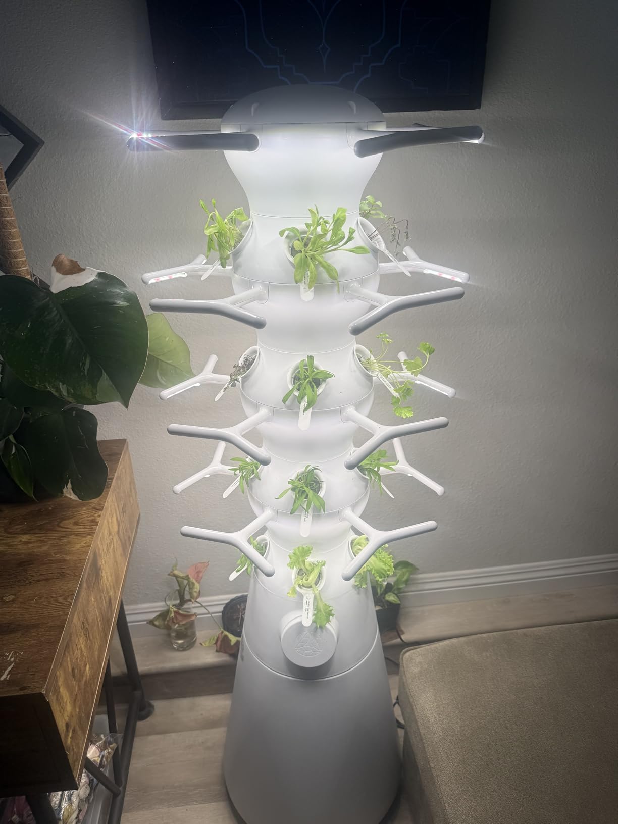 Lettuce Grow Farmstand Nook | 4ft 7in Vertical Hydroponic Garden Tower customer photo 1