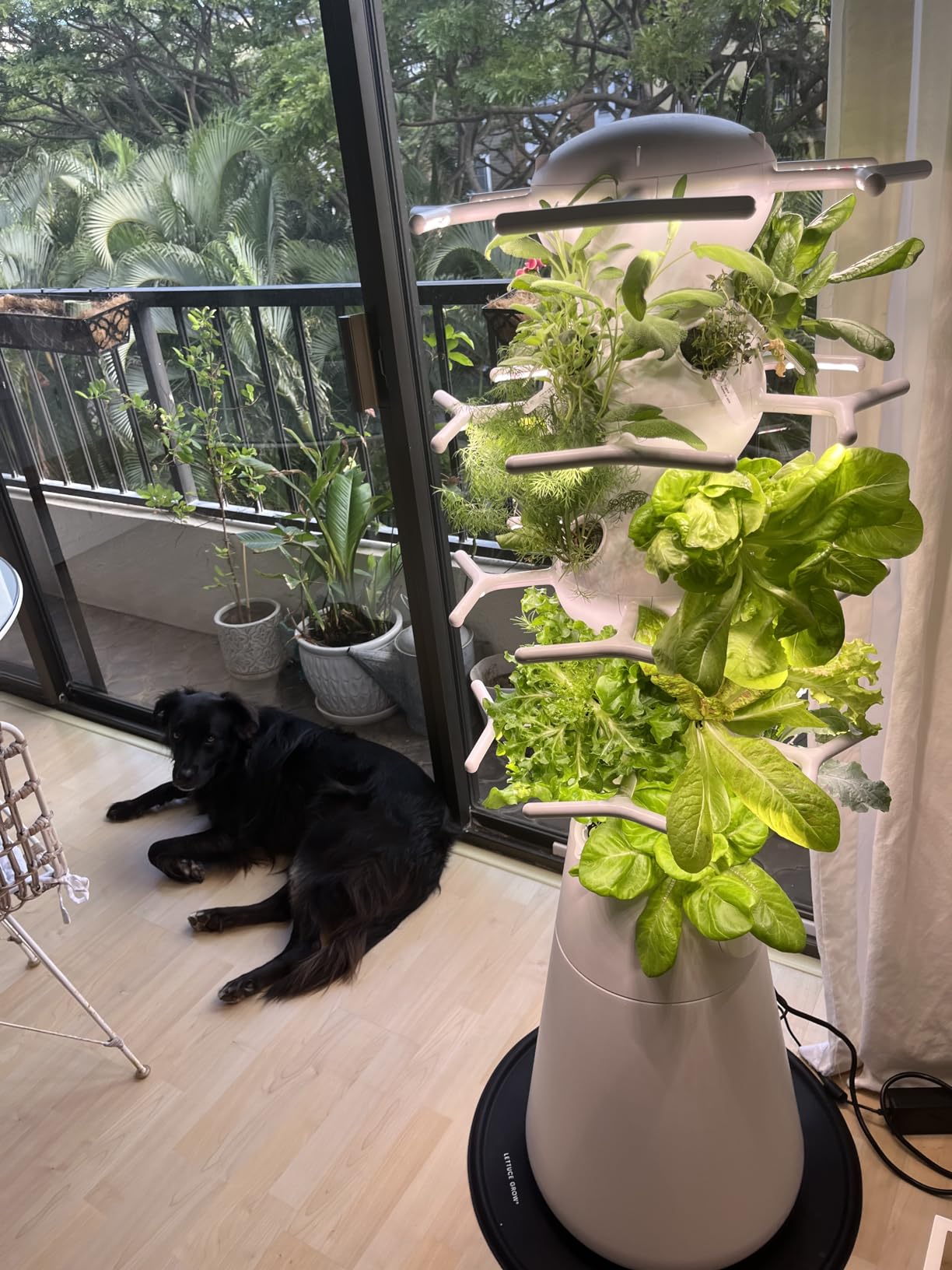 Lettuce Grow Farmstand Nook | 4ft 7in Vertical Hydroponic Garden Tower customer photo 2
