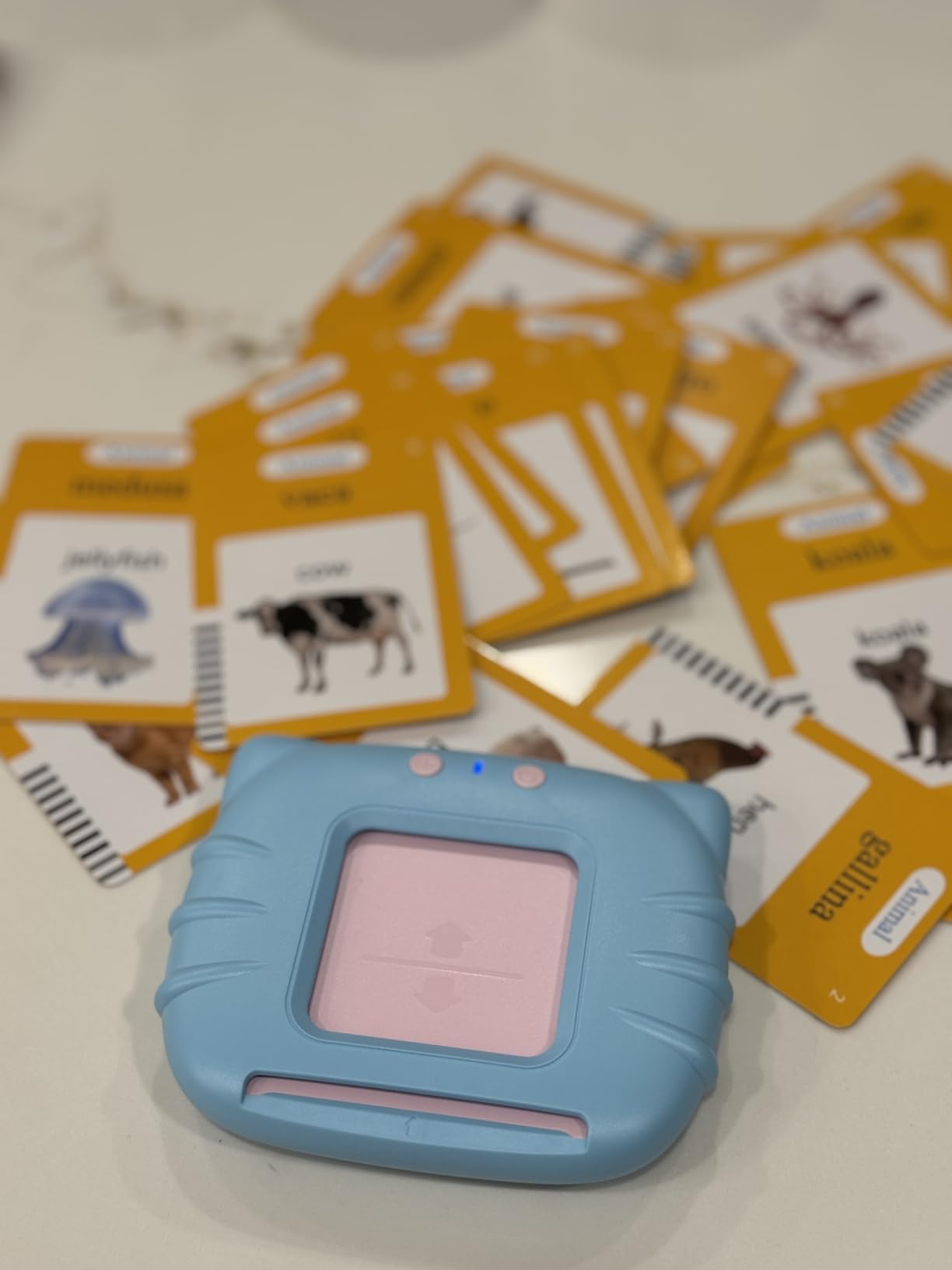 Airbition Talking Flash Cards for Toddlers Ages 1‑4,224 Words English Blue customer photo 1