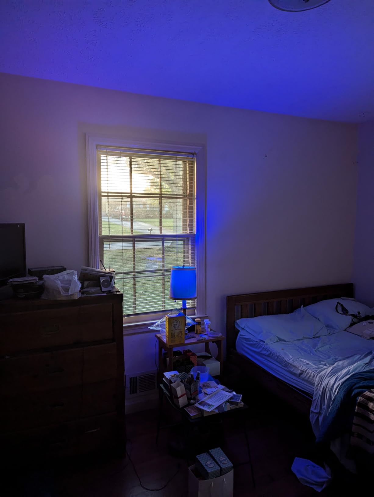 Tapo L531E Color customer photo 1