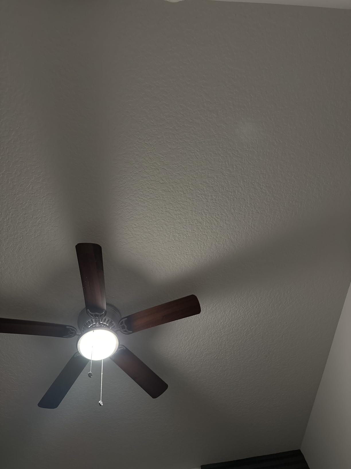 Tapo L531E Color customer photo 2