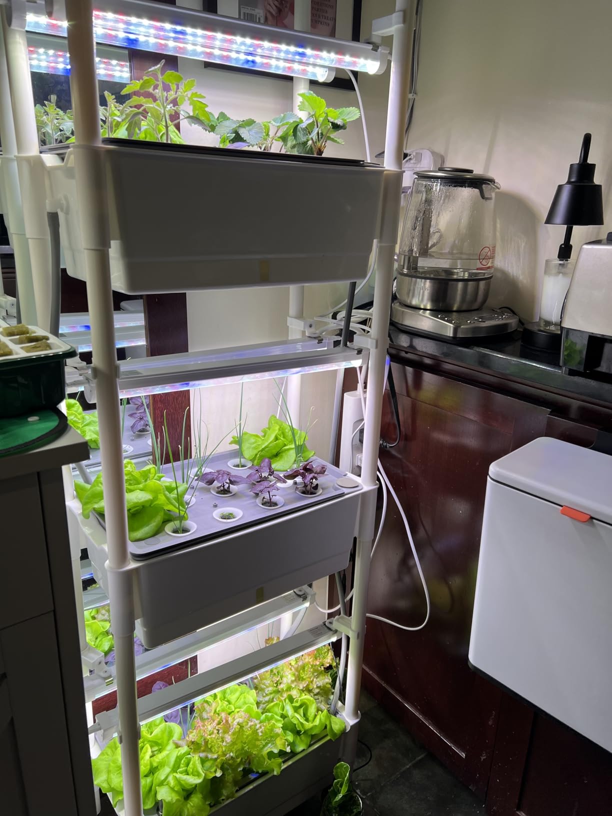 Hydroponics Growing System,AOONEG 28Pods Indoor Herb Garden with LED Grow Light,Hydroponics Growing System Kit with Automatic Timer,Pump System,Adjustable Height,No Seed customer photo 1