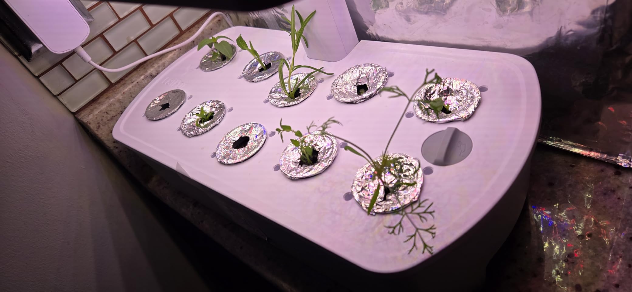 LetPot LPH-Air Hydroponics Growing System Kits, APP & WiFi Controlled Smart Indoor Garden with Adjustable 24W Grow Light Full Spectrum, 10 Pods Planter Indoor Gardening for Gifts, Kitchen, Vegetable customer photo 2
