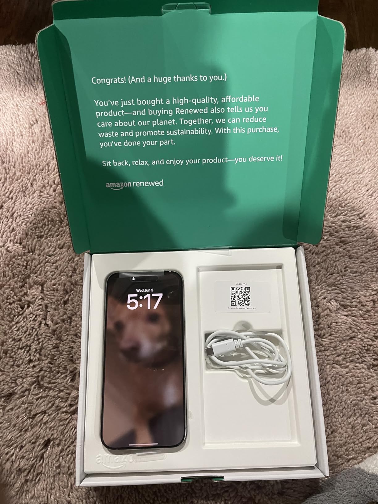 Apple iPhone 16 Pro Max customer photo 1