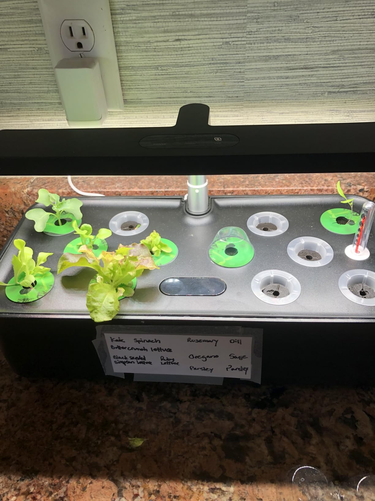 SUNCOZE Hydroponics Growing System, Compact 12 Pods Indoor Garden, Green customer photo 1