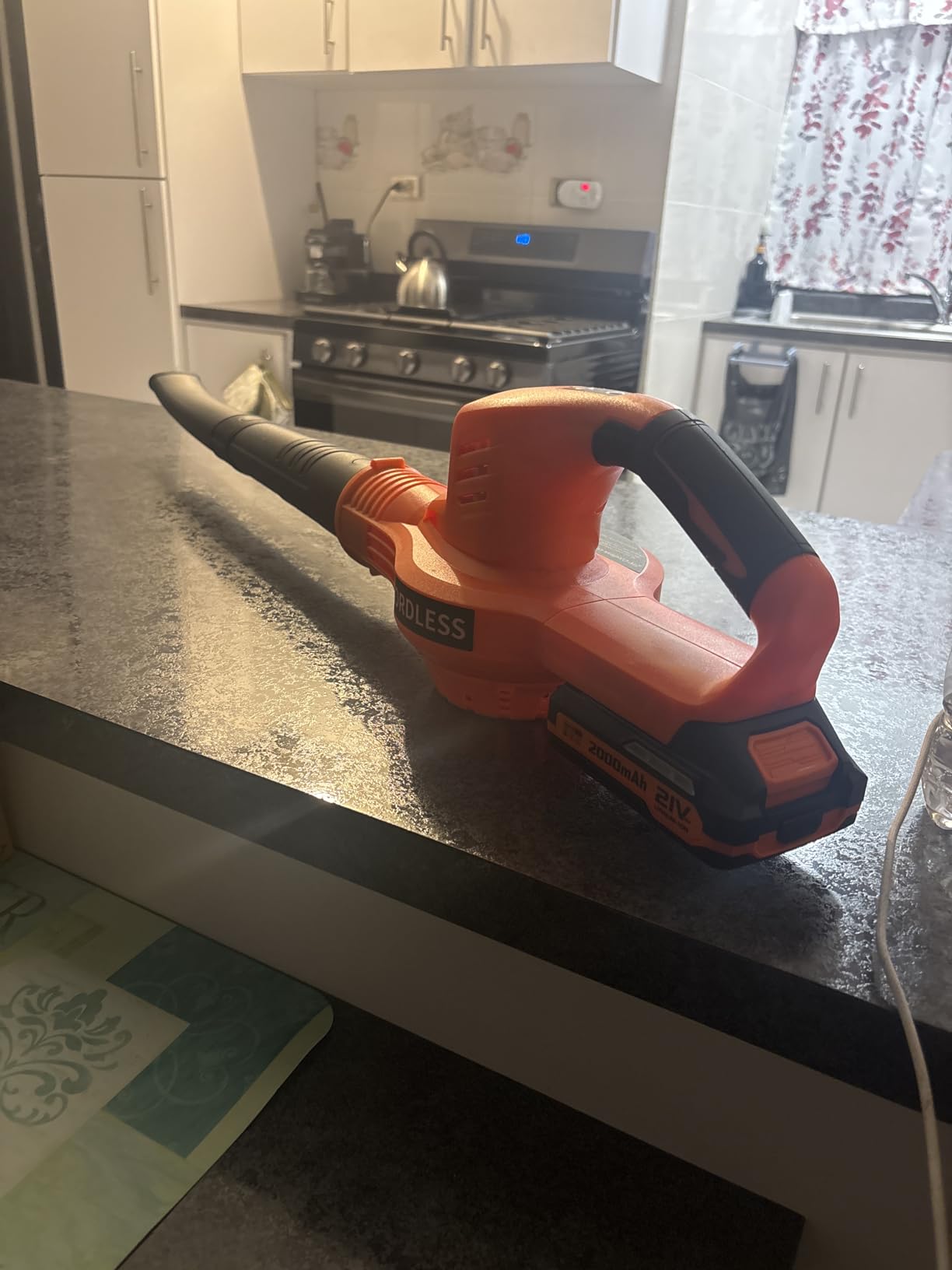 Leaf Blower Cordless 21V Electric with 2 Batteries and Charger Lightweight customer photo 1