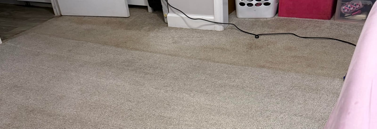 Shark CarpetXpert HairPro Carpet & Built-in Stain Cleaner, 2 Tools EX251BRN customer photo 1