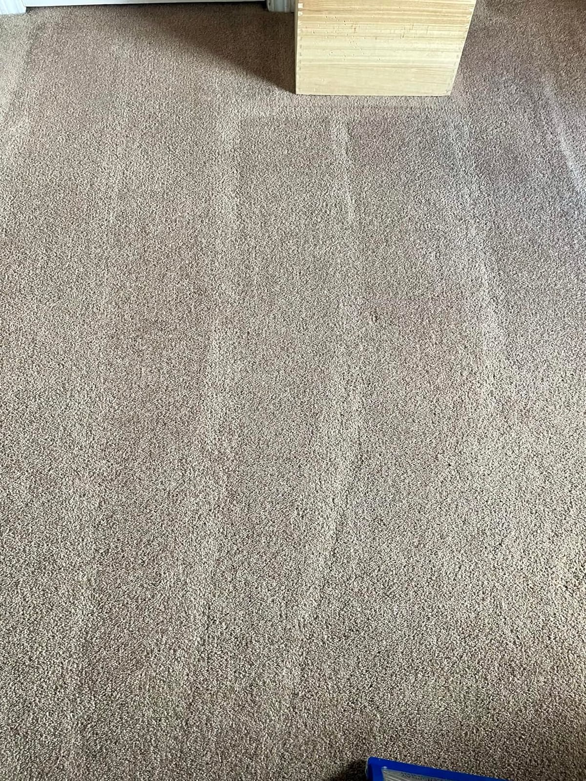 Shark CarpetXpert HairPro Carpet & Built-in Stain Cleaner, 2 Tools EX251BRN customer photo 2