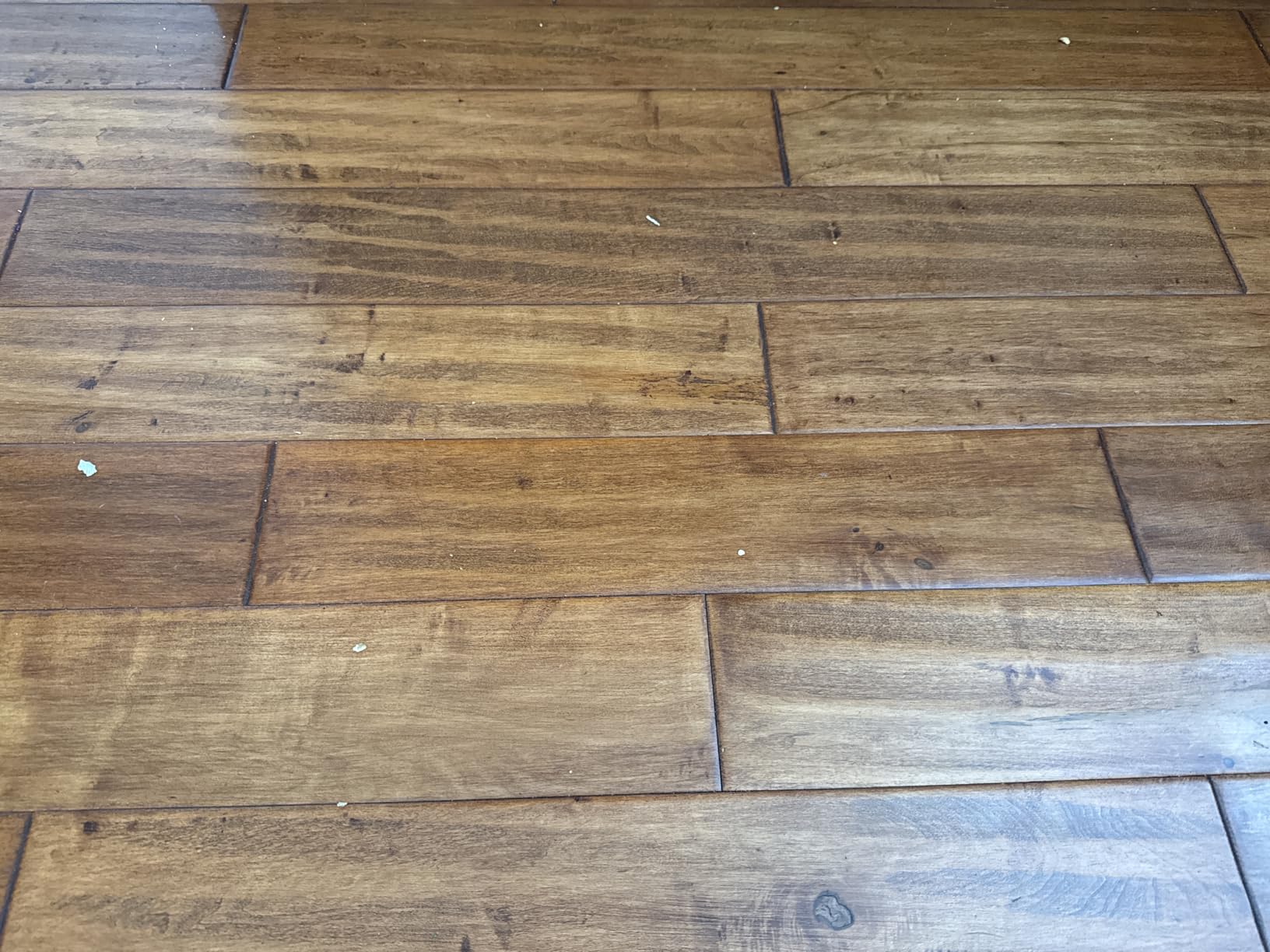 Roomba Plus 505 Combo customer photo 1